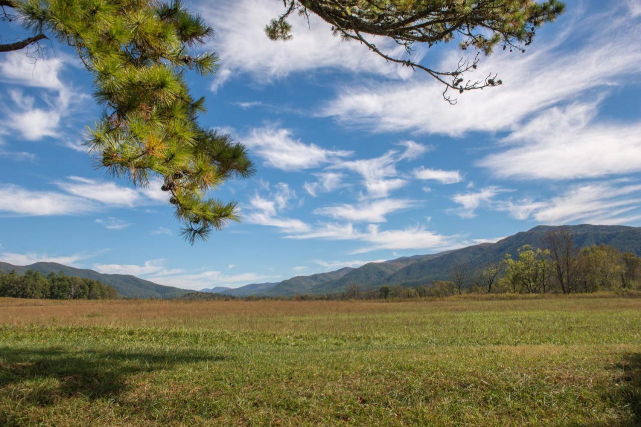 Peaceful Setting Cabin Pigeon Forge Exterior photo